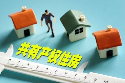 上海共有产权保障房限售期交易风险